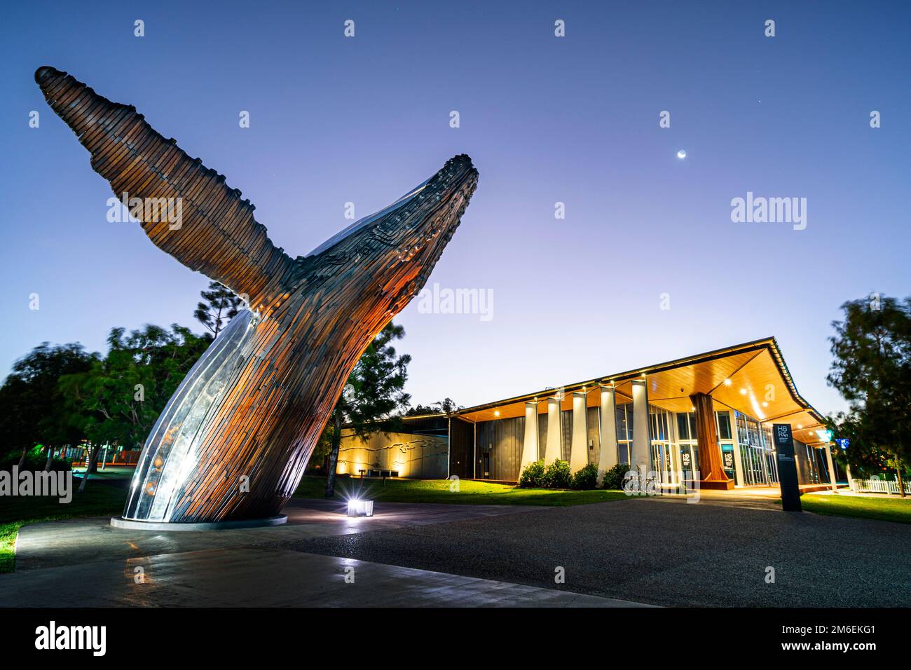 Escultura de Nala la ballena jorobada iluminada por la noche fuera de la Galería Regional de la Costa Fraser. Hervey Bay Qld Australia Foto de stock