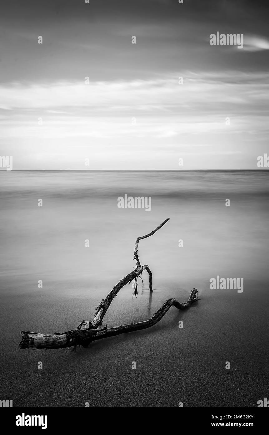 Blanco y negro - Costa atlántica en el norte de España Foto de stock