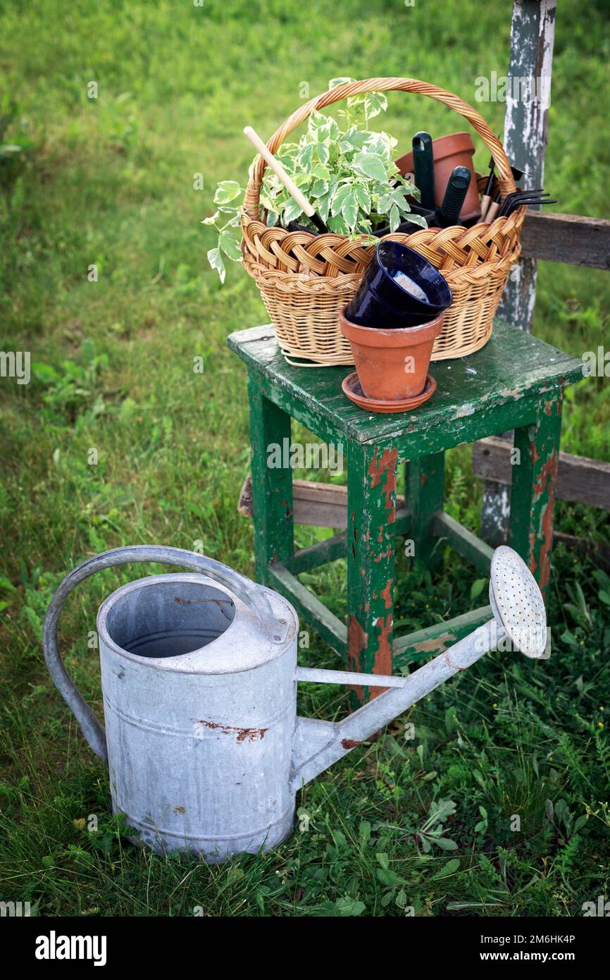 flores, macetas de arcilla y herramientas en una cesta. plantando plantas en el jardín Foto de stock