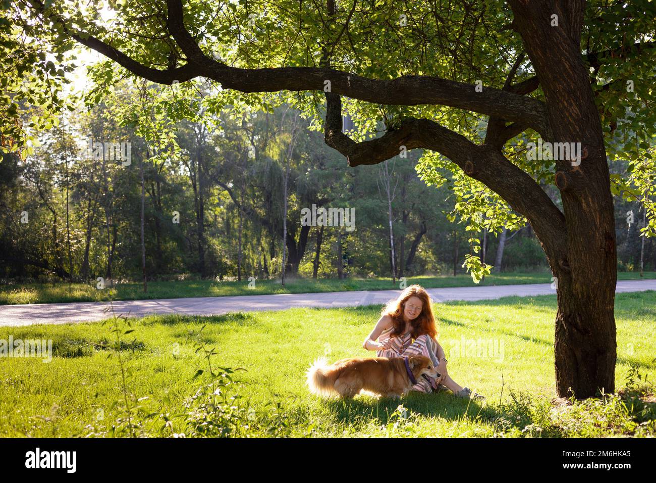 hermoso perro corgi y niña en el parque Foto de stock