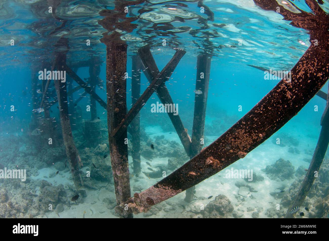 West jetty park fotografías e imágenes de alta resolución Alamy
