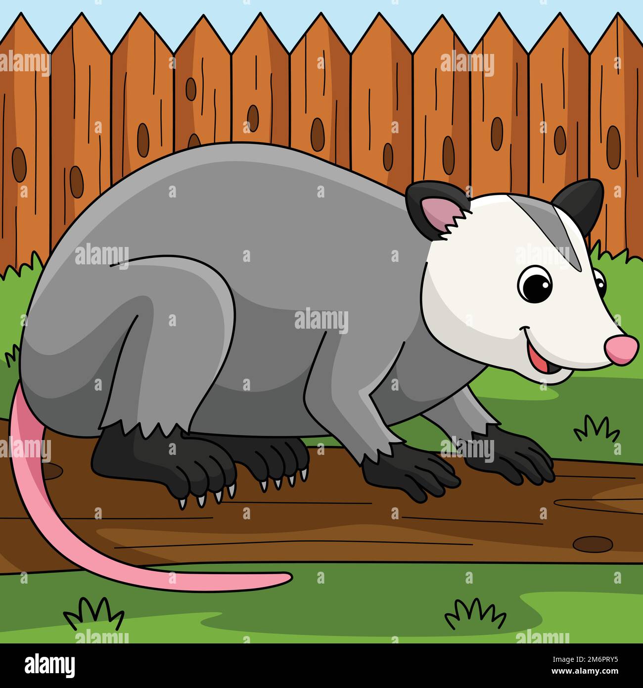 Opossum Animal Colorido Ilustración De Dibujos Animados Imagen Vector