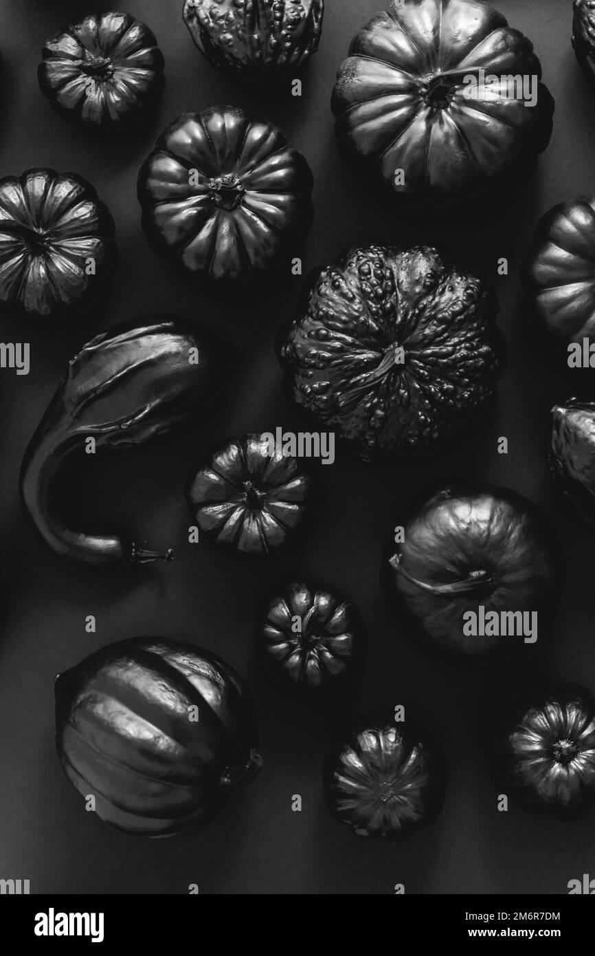 Diferentes tipos de calabazas pequeñas pintadas en negro colocadas sobre fondo oscuro Foto de stock