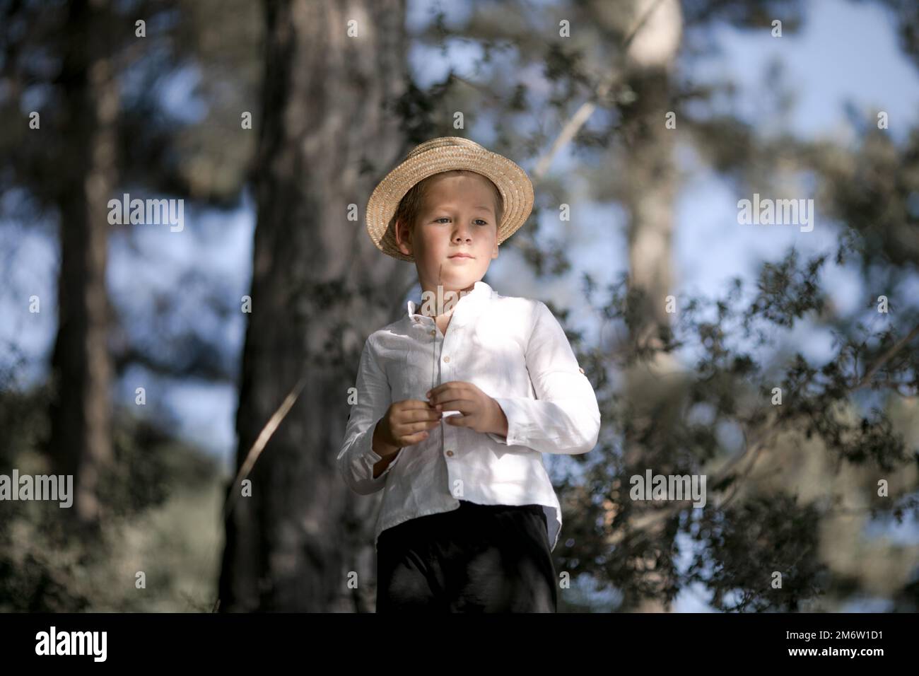 Un Niño Pequeño Con Un Sombrero De Paja. Chico Pequeño Y Tímido Fotos,  retratos, imágenes y fotografía de archivo libres de derecho. Image 82776649