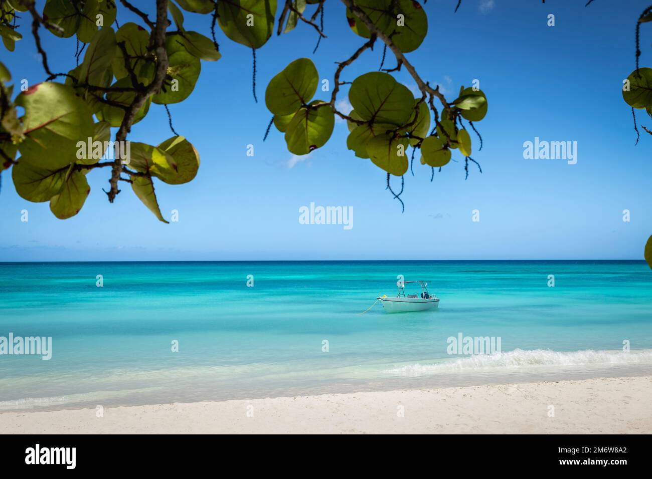 Paraíso tropical, playa de arena en el caribe Isla Saona, Punta Cana, Dominicana Foto de stock