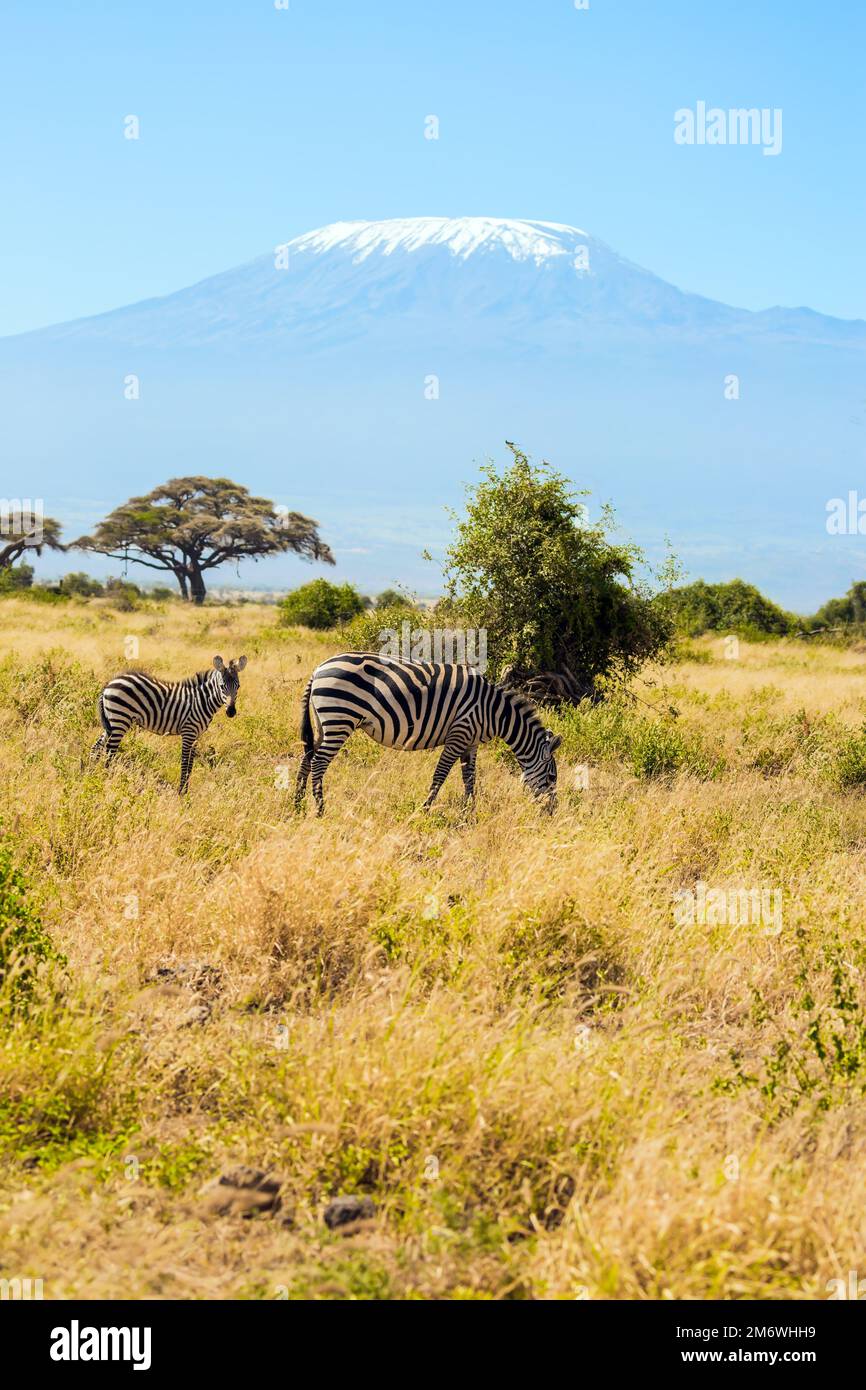 Viaje al Cuerno de África, Kenia Foto de stock