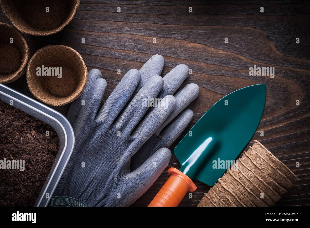 Caja de jardinería de guantes de goma de pala de mano con vidrios de suelo y turba en concepto de agricultura de fondo de madera vintage. Foto de stock