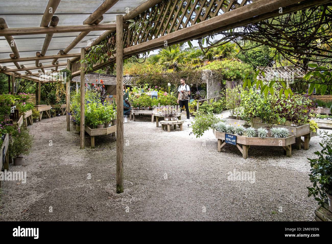 Clientes que compran plantas en el centro de plantas de Trebah Gardens en Cornwall, Reino Unido. Foto de stock