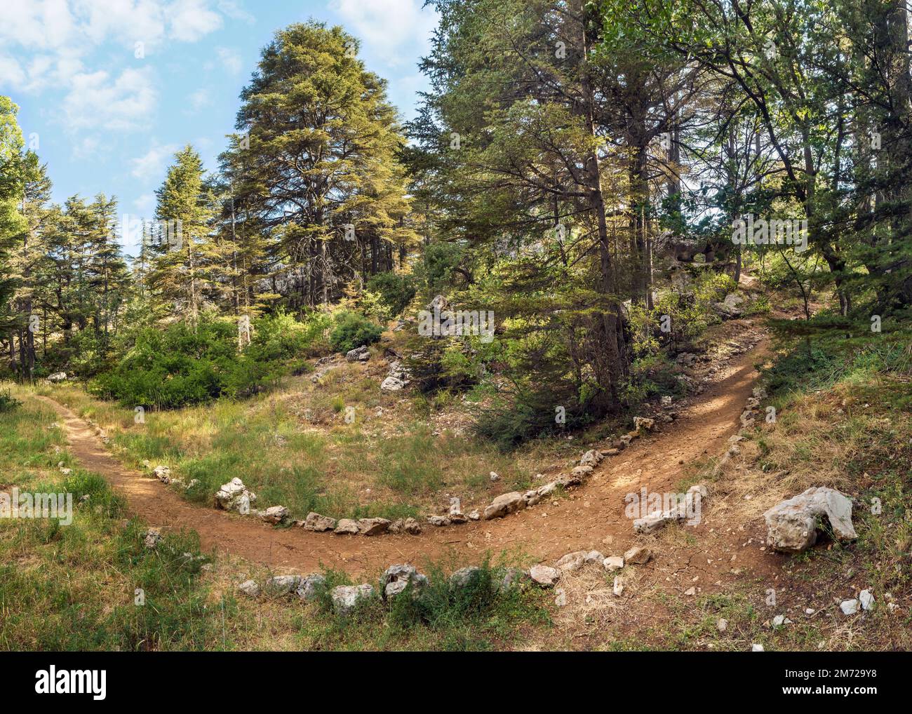 Panorama de la ruta de senderismo en Tannourine Cedar Forest Nature Reserve, Líbano Foto de stock