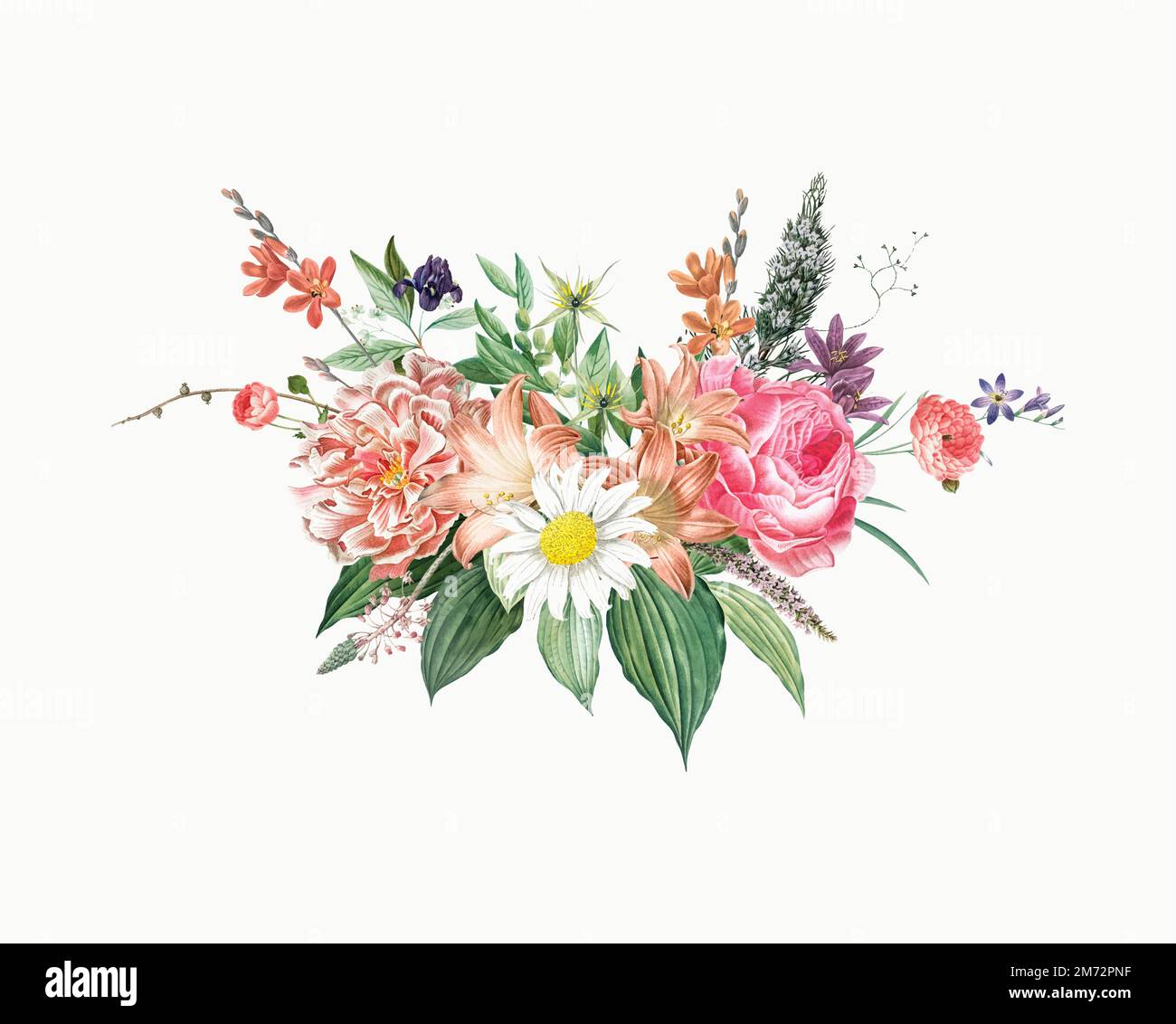 Colorido flor vintage flores vector Imagen Vector de stock - Alamy