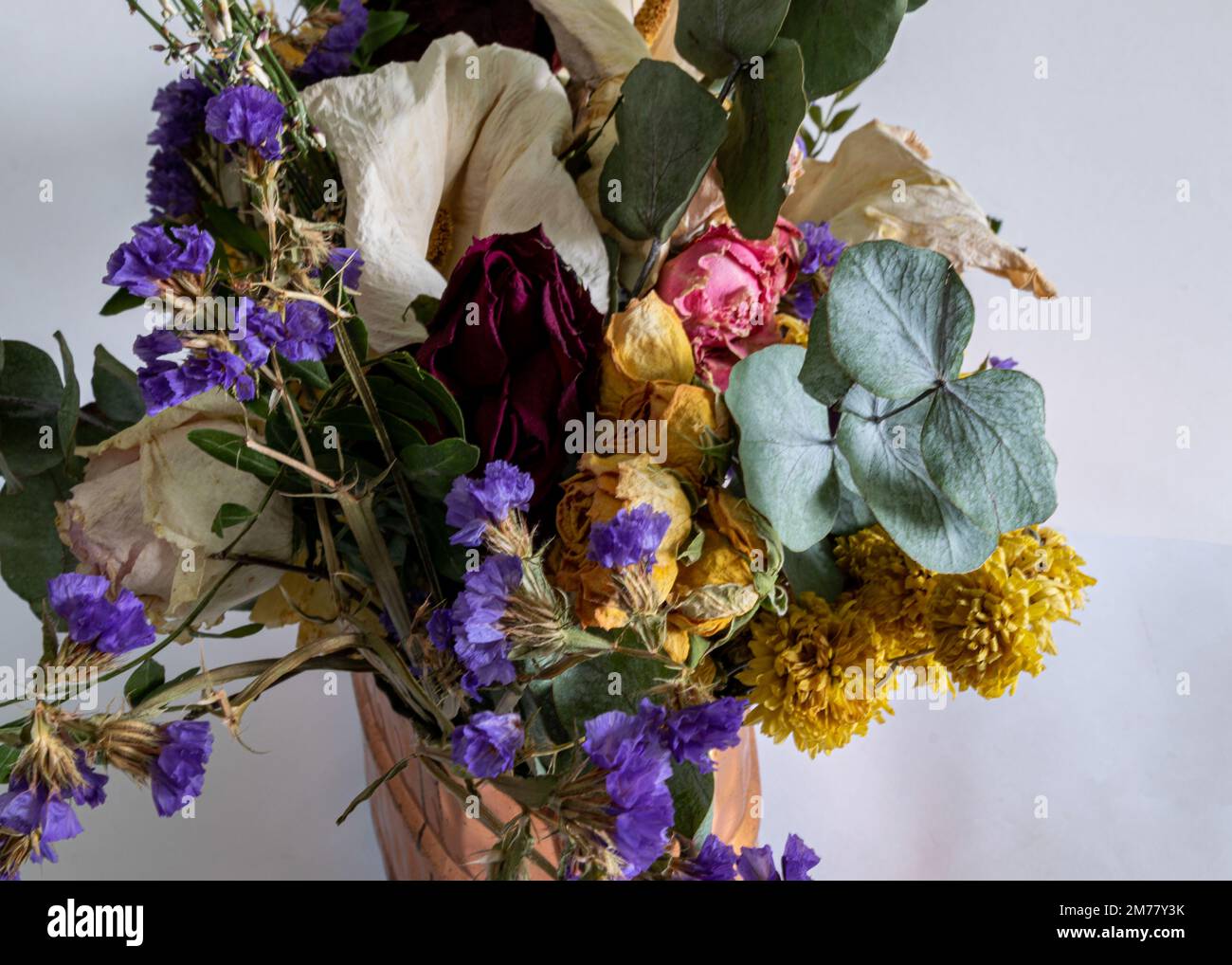 foto con flores en un jarrón, una composición de muchas flores de colores  diferentes de flores secas, secas, plantas secas decorativas Fotografía de  stock - Alamy