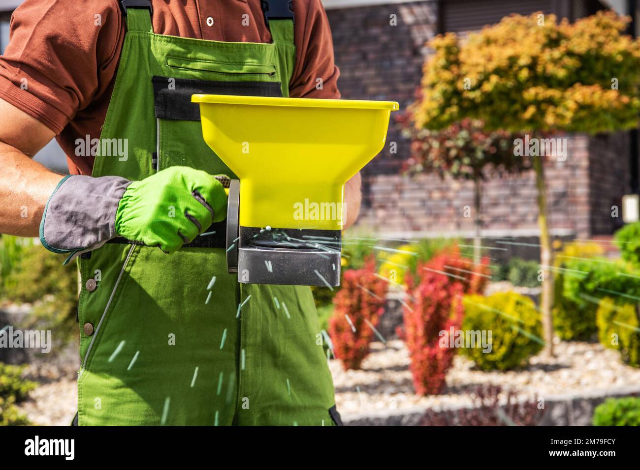 Primer Plano De Jardinero Profesional Que Extiende Fertilizante Granular Del Césped Usando El 