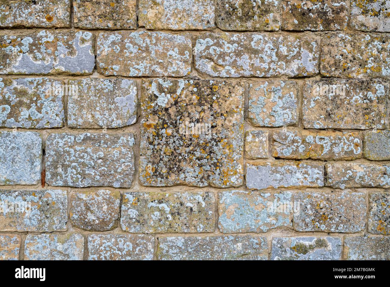 Pared de piedra de Cotswold cubierta de liquen. Cotswolds, Inglaterra Foto de stock