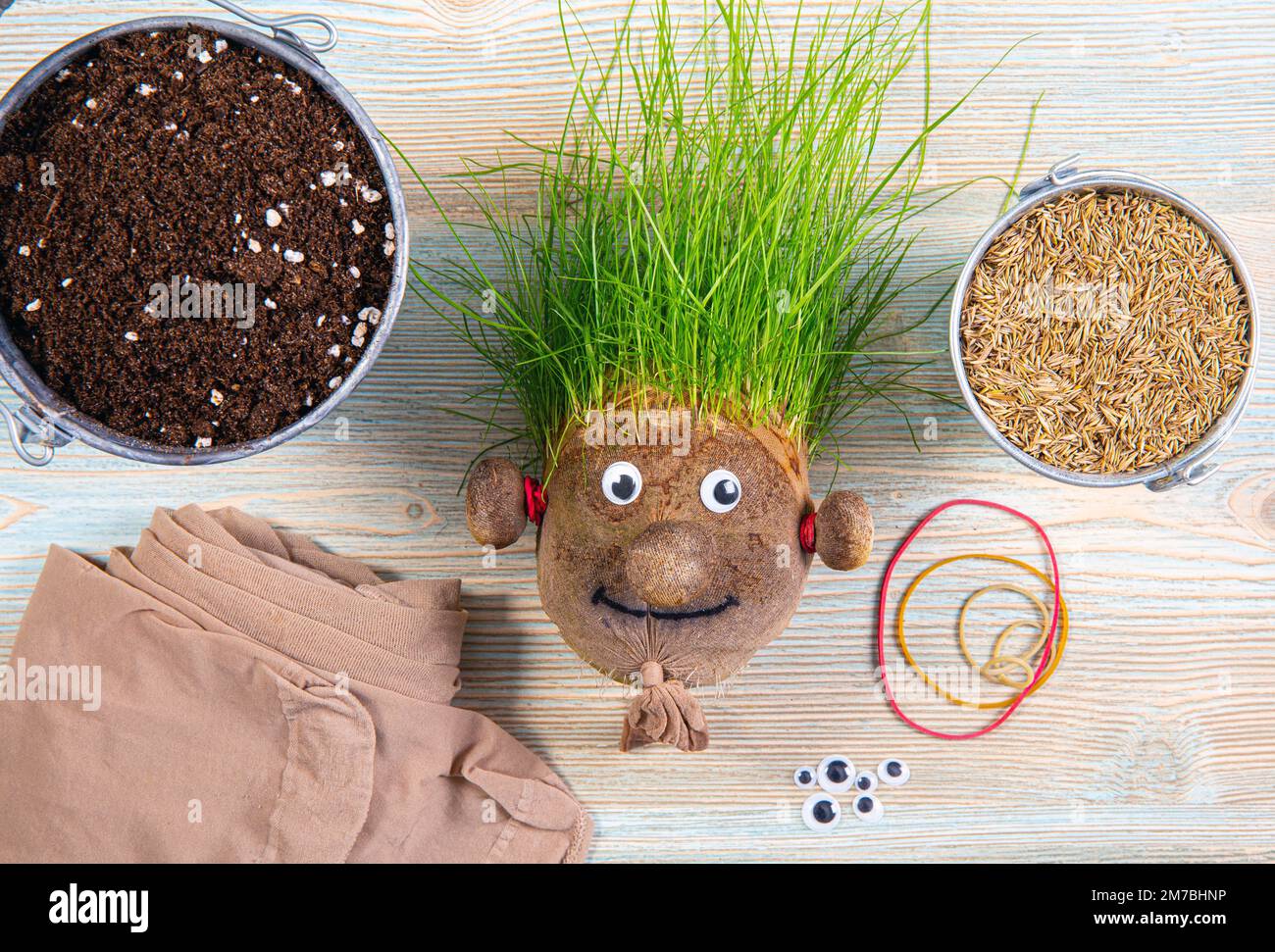 Fabricación de lindo juguete casero de cabeza de hierba con varias herramientas de suministro. Semillas de hierba, medias, ojos, goma y tierra. Mucho espacio de copia en azul. Foto de stock