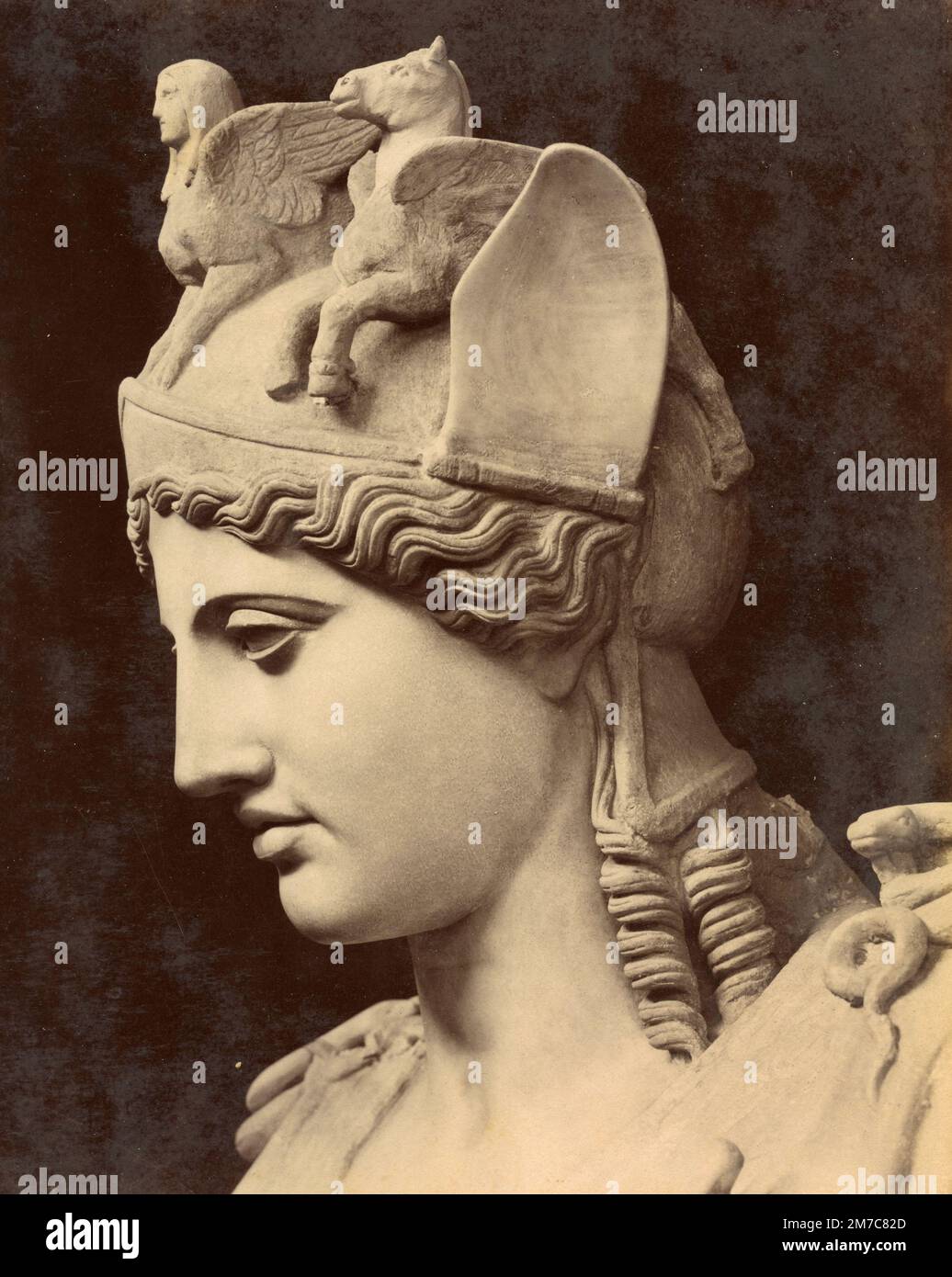 Detalle de la cabeza de Minerva Farnese, copia romana de la época imperial después de un original helenístico, escultura de mármol, impresión de albúmina, 1870s Foto de stock