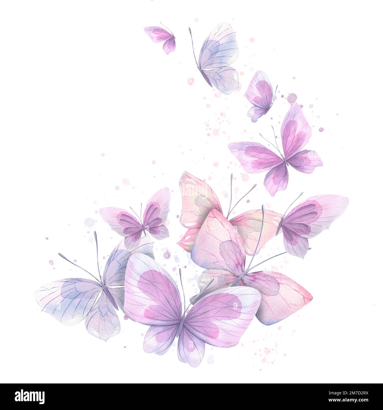 Mariposas lila, rosa y azul con salpicaduras de pintura. Ilustración de  acuarela. Composición de la colección de GATOS Y MARIPOSAS. Para el  Fotografía de stock - Alamy