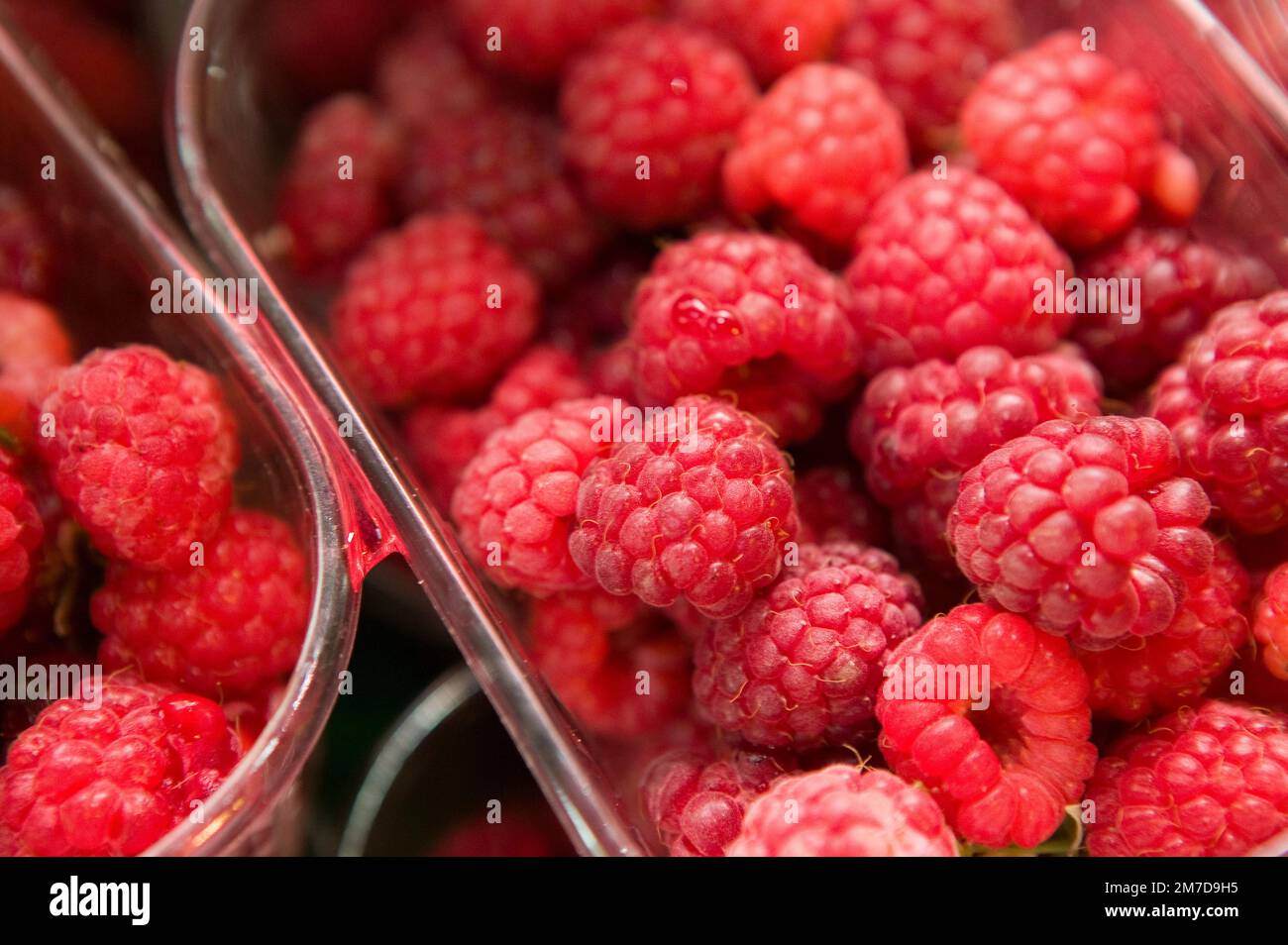 Frutas blandas incluyendo frambuesas y fresas y goseberries en punnets de  plástico Fotografía de stock - Alamy