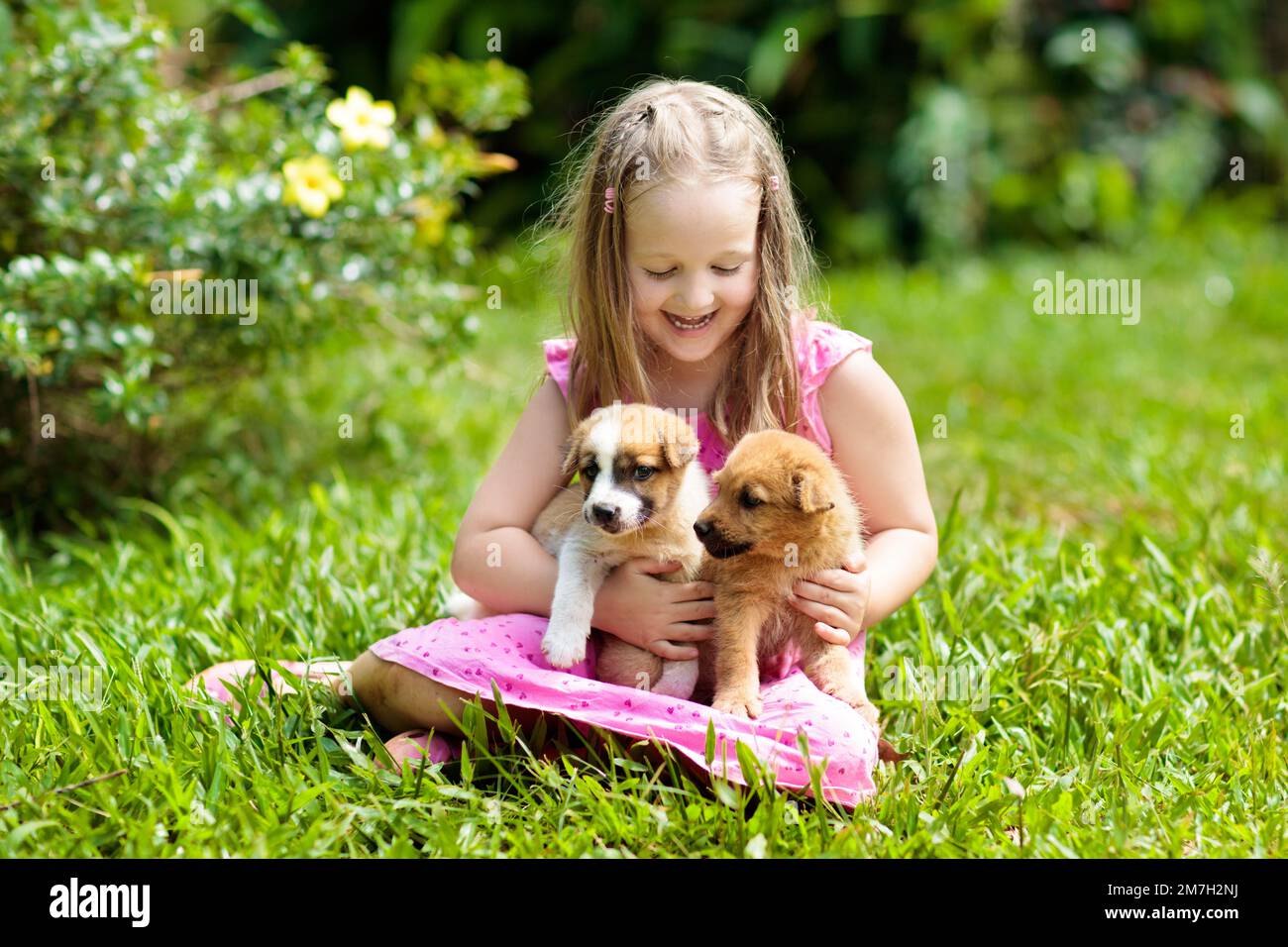 Los niños juegan con un lindo perrito. Niños y perros jugando en el