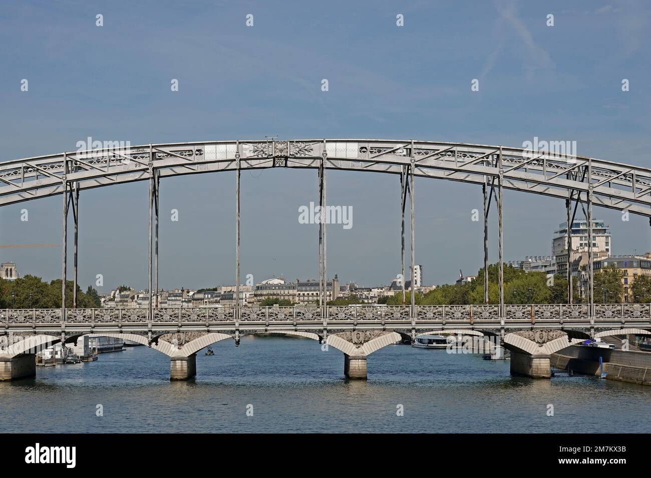 Francia, París, Viaduc d'Austerlitz (Viaducto de Austerlitz) es un puente ferroviario de arco de acero de una sola cubierta que cruza el Sena Foto © Fabio Mazzarella/Si Foto de stock