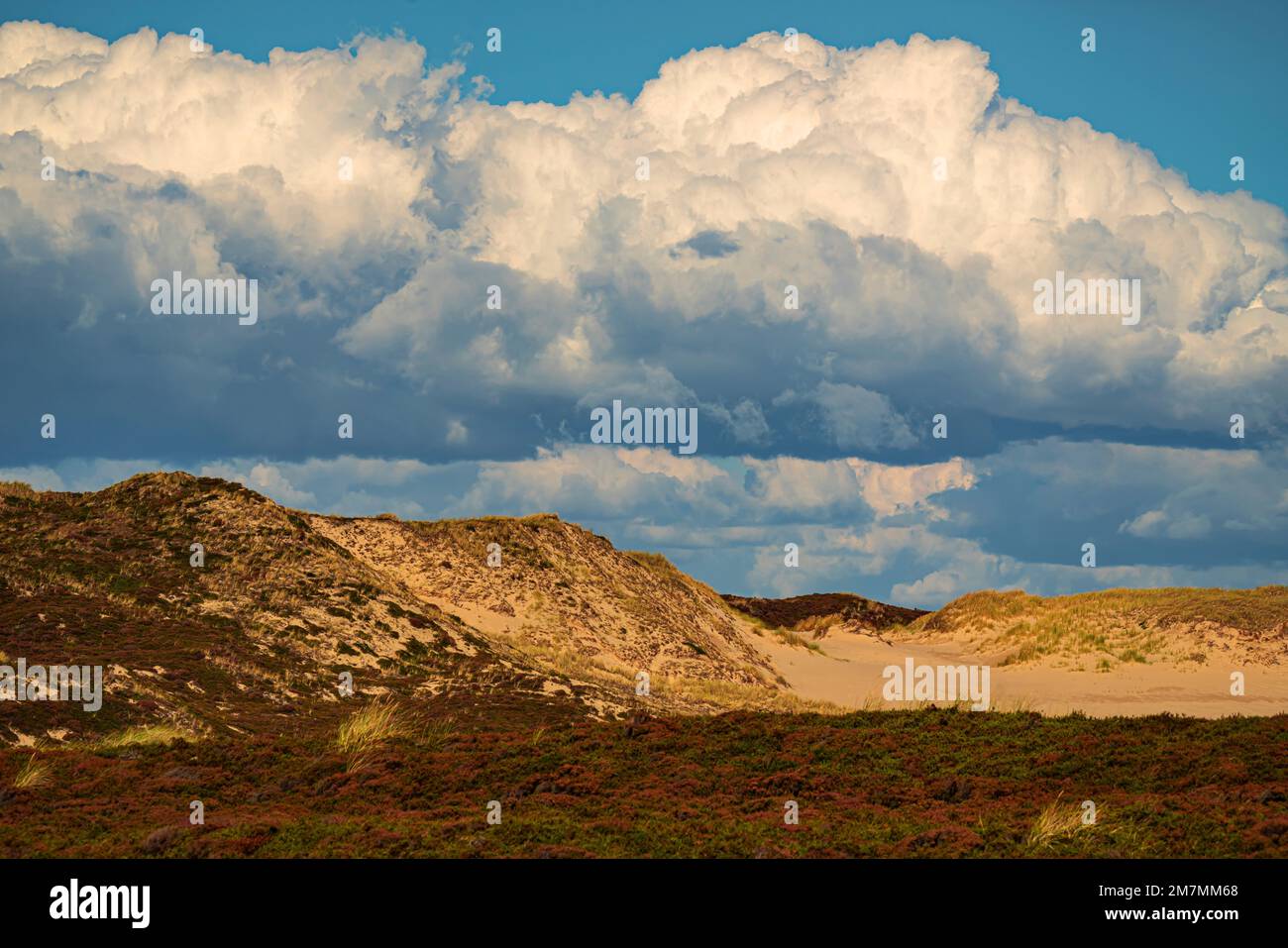 Paisaje de dunas, Listland, isla Sylt Foto de stock