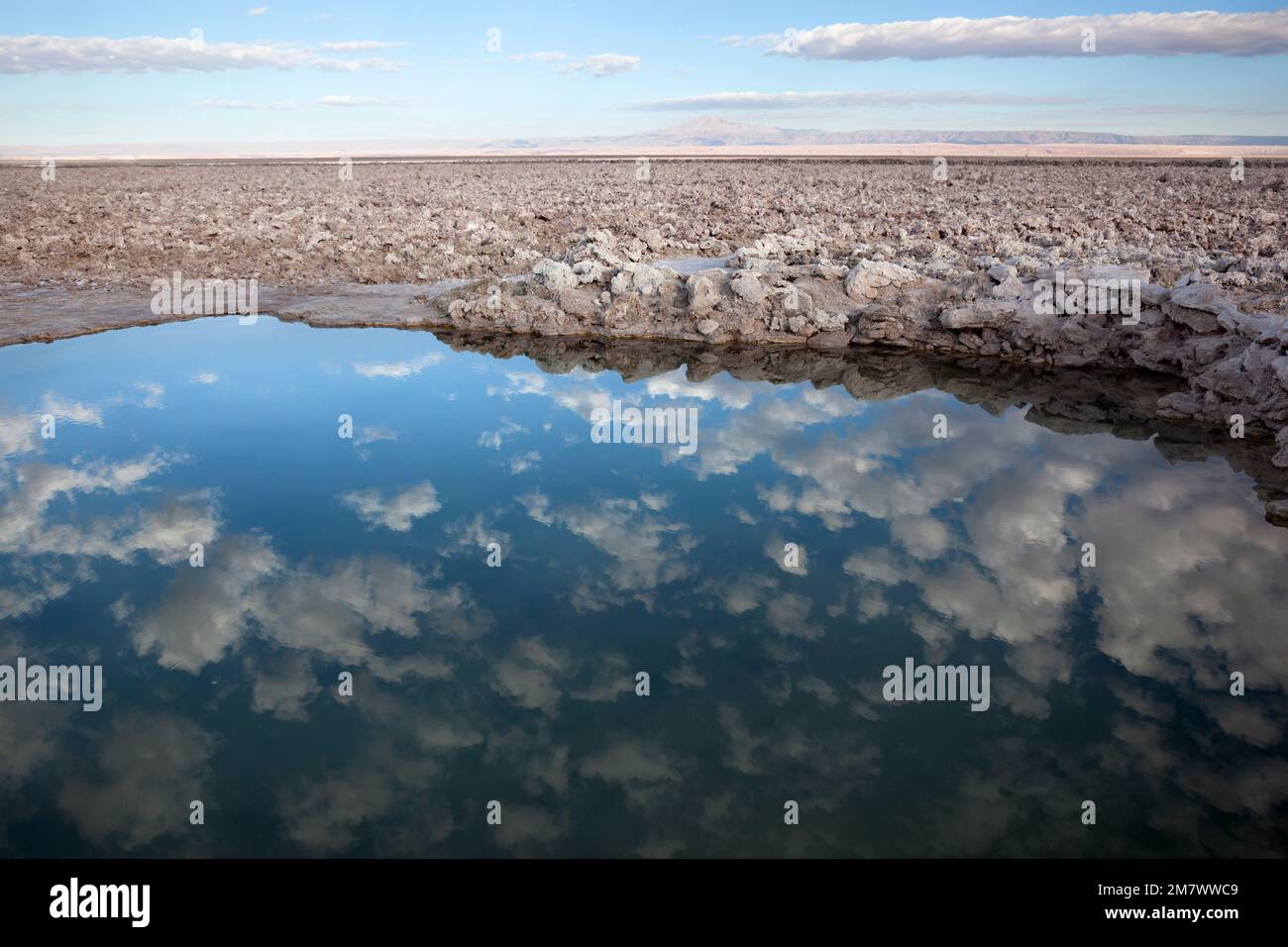 Reflexiones sobre el Salar de Atacama. Chile Foto de stock