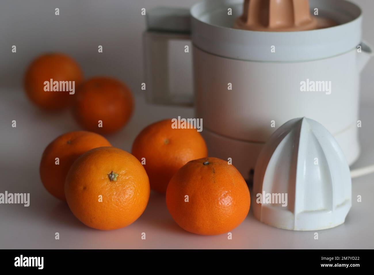 Malta o Valencia Orange es una fruta cítrica cultivada en la India,  comúnmente llamada como sangtra shot junto con exprimidor de cítricos sobre  un fondo blanco. Es un lar Fotografía de stock -