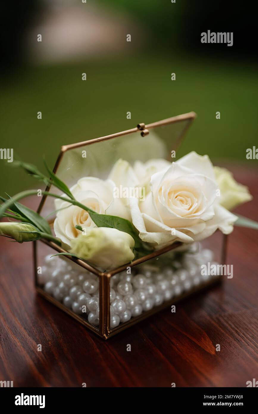 brotes de rosas blancas en una caja de cristal para anillos de boda  Fotografía de stock - Alamy