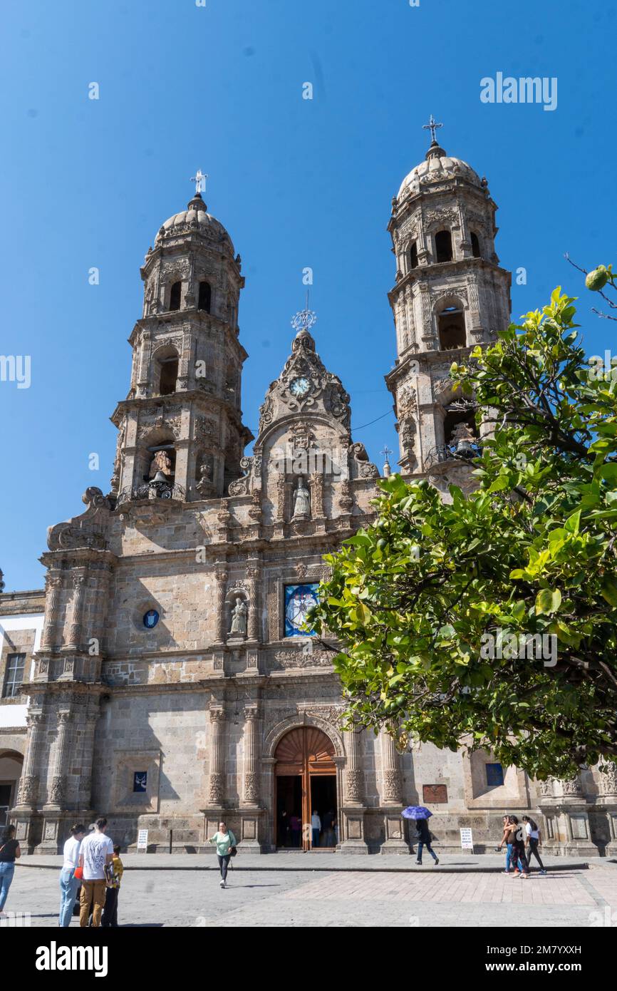 catedral de zapopan con cielo claro, árbol en primer plano, méxico jalisco guadalajara Fotografía de stock - Alamy catedral de zapopan con cielo claro, árbol en primer plano, méxico jalisco guadalajara Fotografía de stock - Alamy