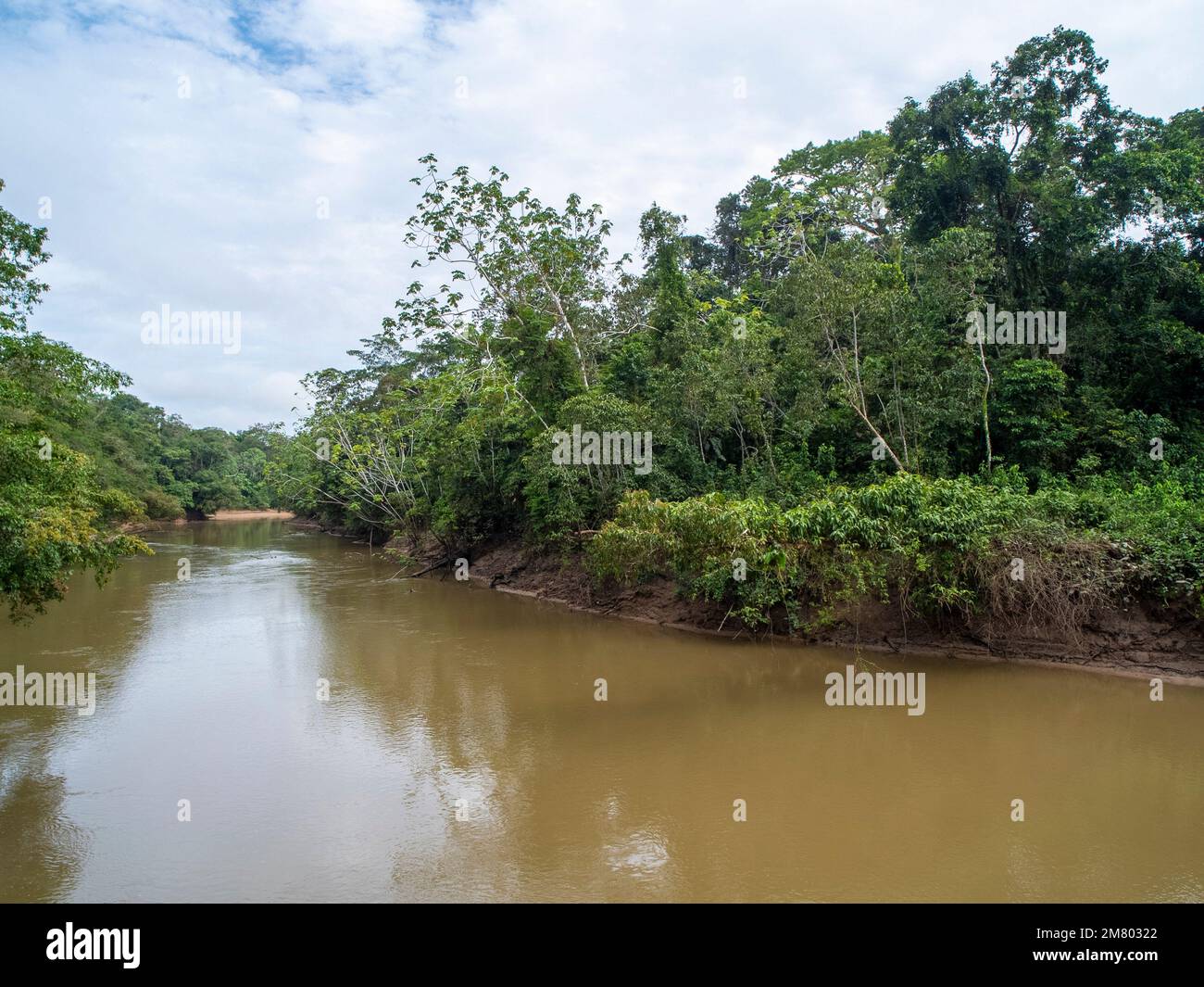 Río Tiputini En la Amazonía ecuatoriana, el río corre a través de la prístina selva primaria que bordea el Parque Nacional Yasuní Foto de stock