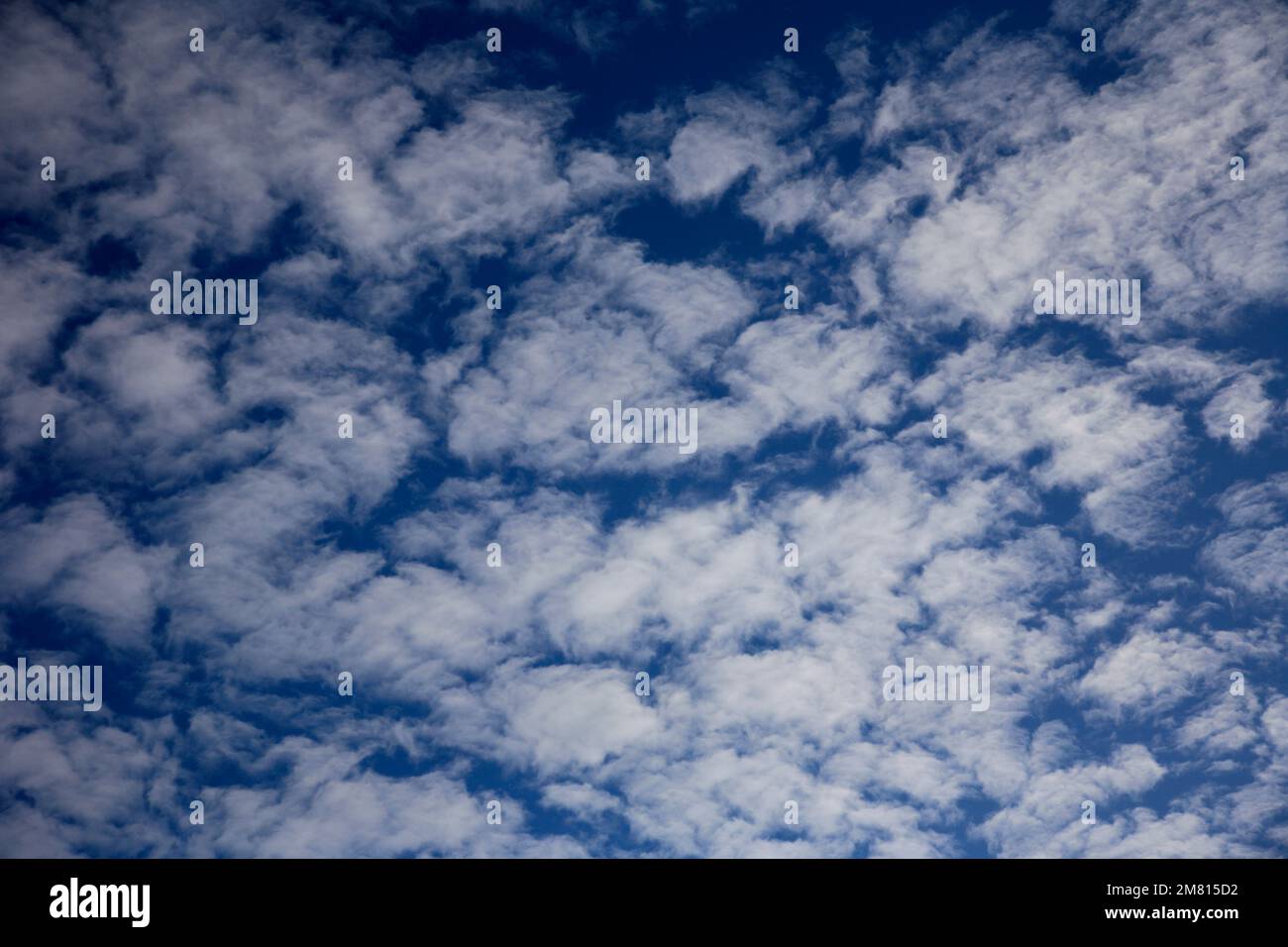 Altocumulus stratiformis nubes en un cielo azul Foto de stock