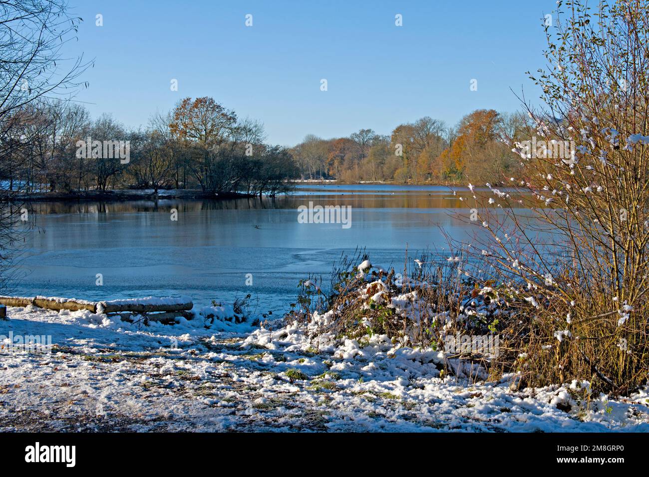 Una escena invernal en Barden Lake, Tonbridge, Inglaterra, durante una corta temporada de frío en diciembre de 2022 Foto de stock