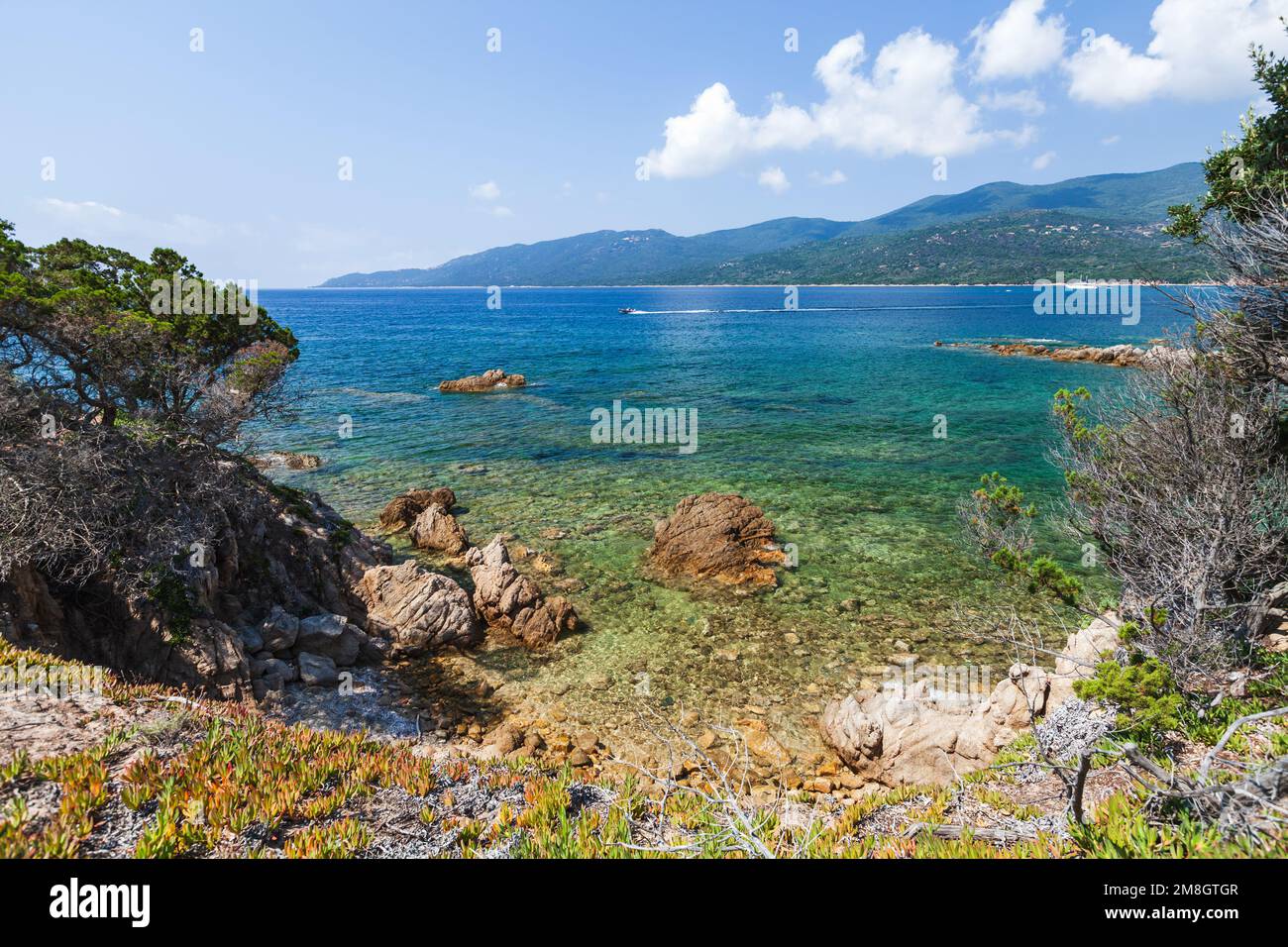 Playa de Cupabia. Paisaje costero de la isla de Córcega en un día soleado de verano Foto de stock