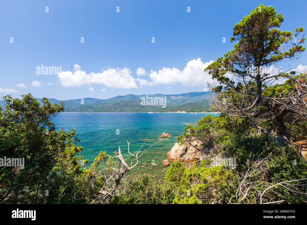 Playa Cupabia. Paisaje costero de la isla de Córcega en un soleado día de verano, Plage de Cupabia Foto de stock