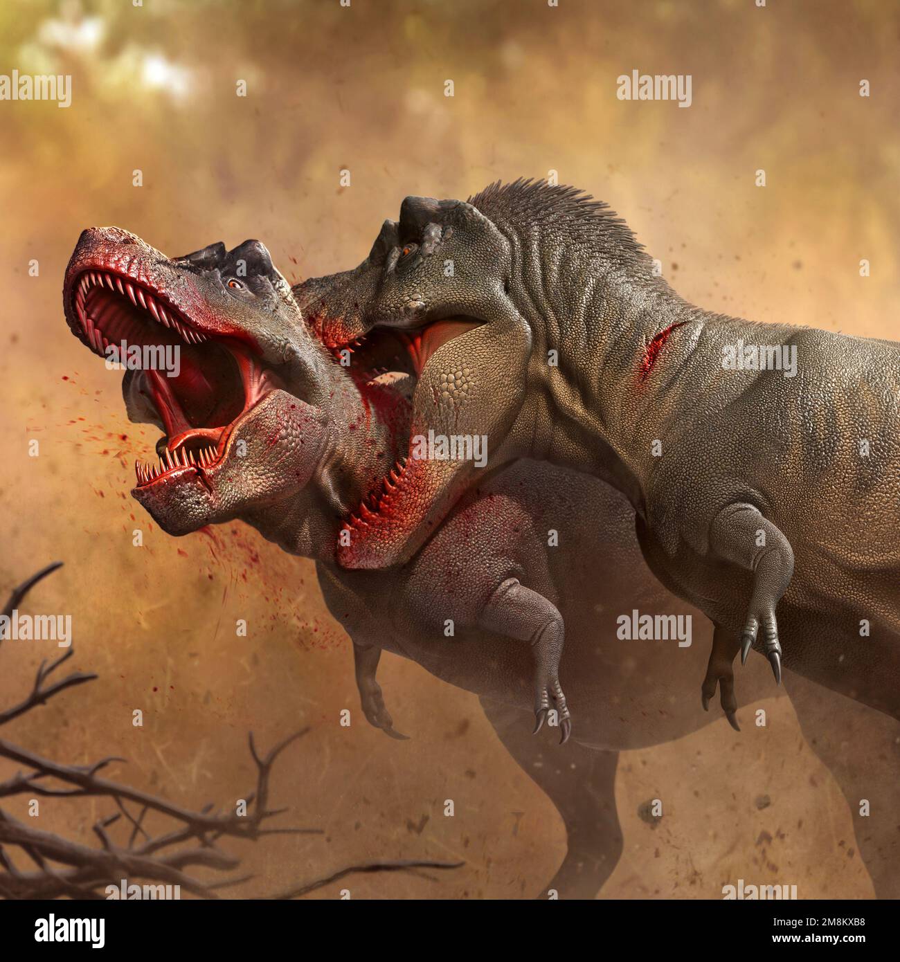 Dos Tyrannosaurus rex luchando Fotografía de stock - Alamy Dos Tyrannosaurus rex luchando Fotografía de stock - Alamy