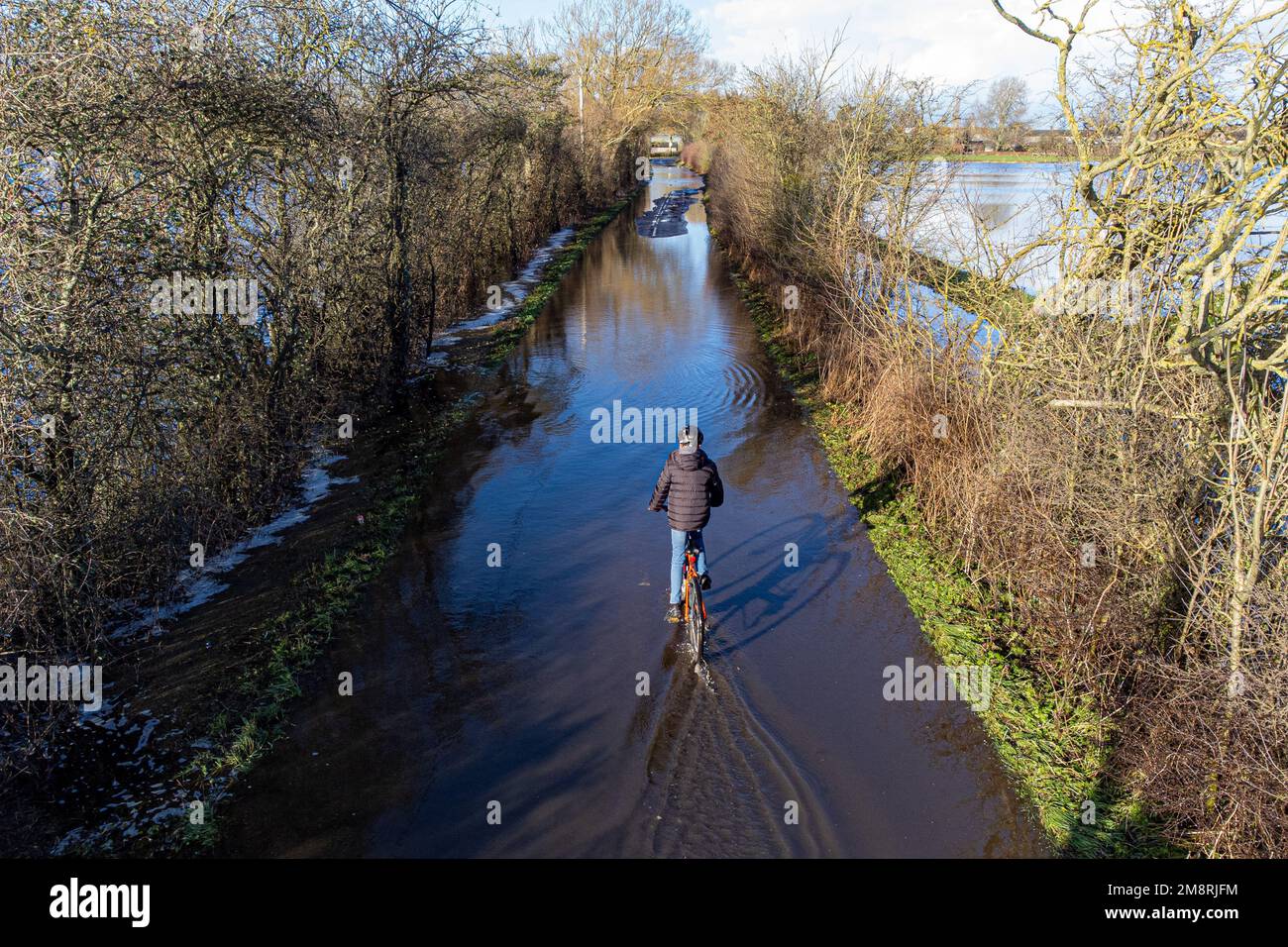 Un ciclista pedalea a través de las inundaciones cerca de Muchelney, Somerset. Fecha de la fotografía: Domingo 15 de enero de 2023. Foto de stock