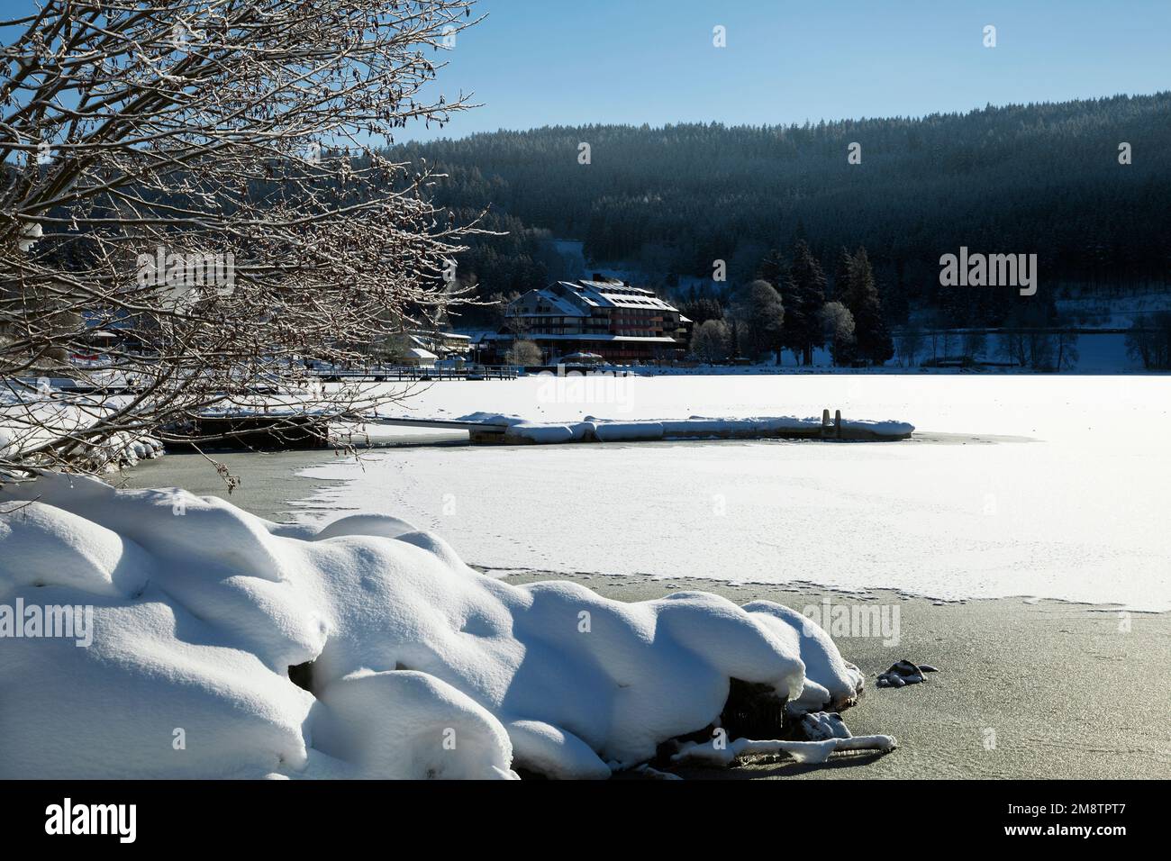 Escena de invierno en el lago Titisee en el Bosque Negro Foto de stock