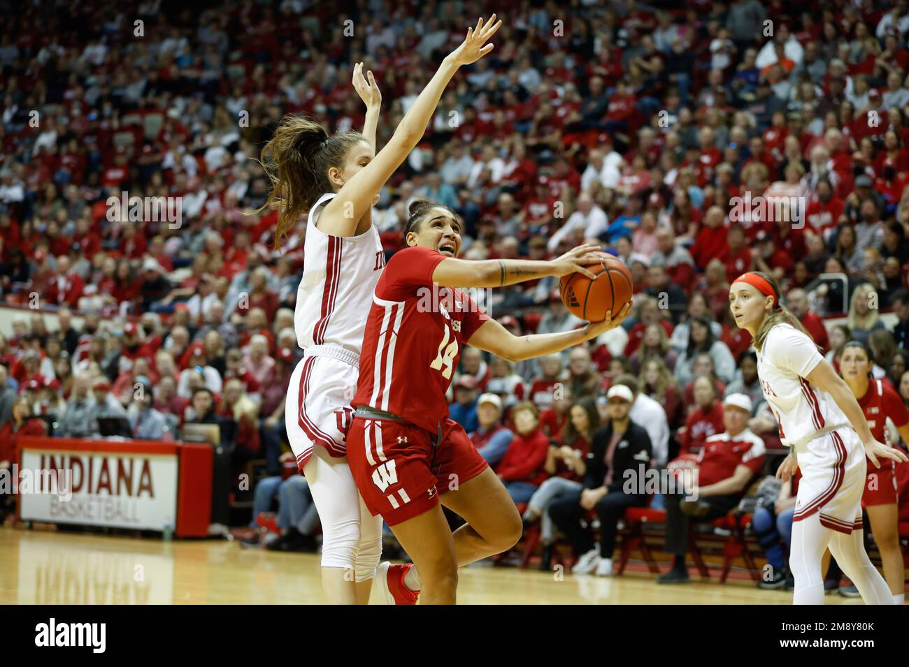 Bloomington, Estados Unidos. 15th de enero de 2023. Krystyna Ellew (14) juega contra Yarden Garzon (izq.), guardia de los Indiana Hoosiers, durante un partido de baloncesto femenino de la NCAA en el Salón de la Asamblea Simon Skjodt en Bloomington. Indiana venció a Wisconsin 93-56. Crédito: SOPA Images Limited/Alamy Live News Foto de stock