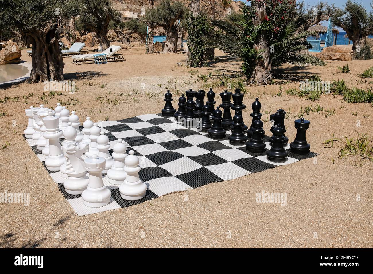 Tablero de ajedrez de tamaño natural fotografías e imágenes de alta  resolución - Alamy
