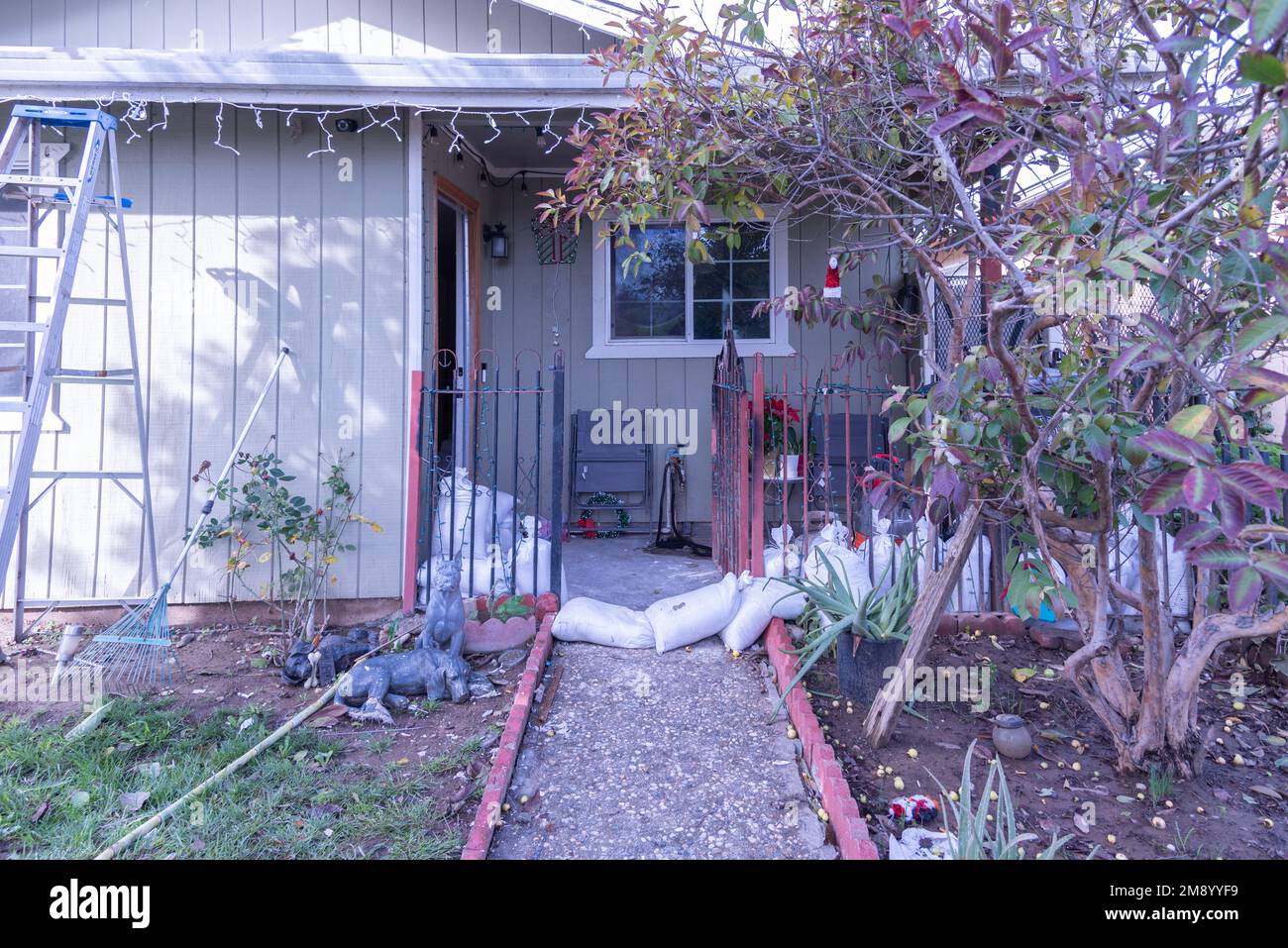 Condado de Santa Cruz, Watsonville, CA, EE.UU. El 12 de enero de 2023