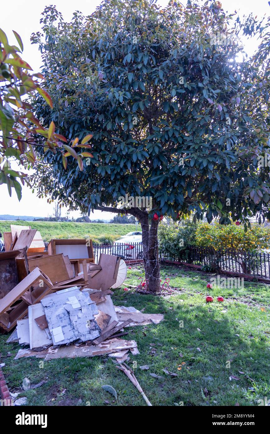 Condado de Santa Cruz, Watsonville, CA, EE.UU. El 12 de enero de 2023