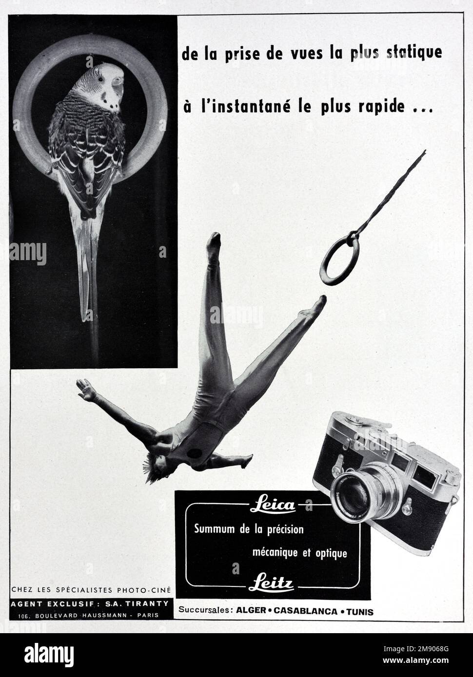 Anuncio Leica 1957. Vintage o antiguo anuncio, anuncio, publicidad o ilustración para Vintage Leica cámara 1957 ilustrado con imágenes o un gimnasta y un loro. Foto de stock