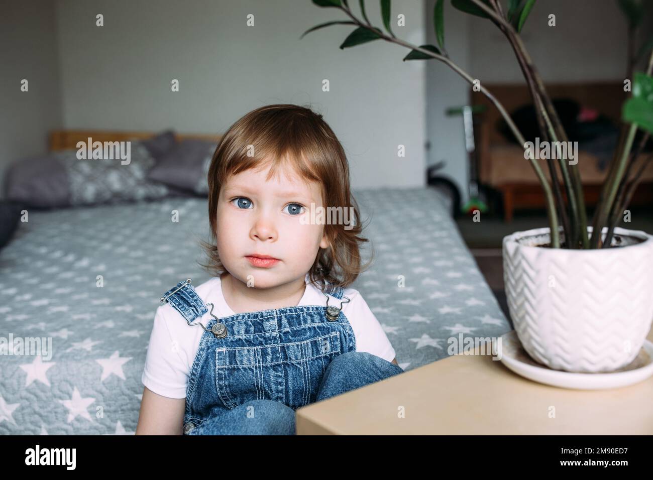 Retrato de niño en edad preescolar en casa. Mirando seriamente a la cámara Foto de stock