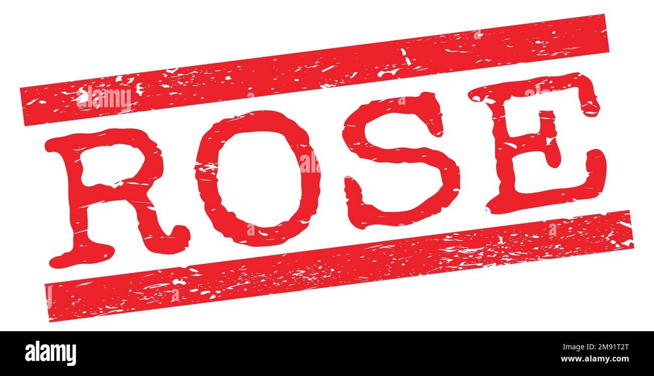 Texto de ROSA escrito en el signo de sello de líneas gruesas rojas. Foto de stock