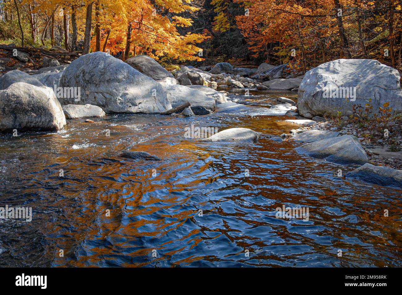 La luz solar moteada se filtra a través de las hojas de otoño en rocas y rocas en el hermoso arroyo en Chimney Rock, Carolina del Norte. (EE.UU.) Foto de stock