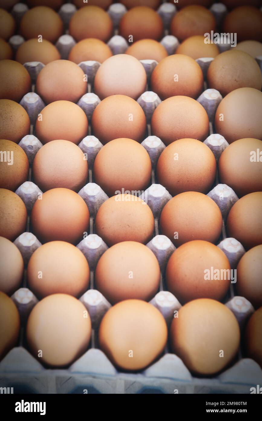 Primer plano de marco completo de huevos marrones en una caja de huevos de cartón Foto de stock
