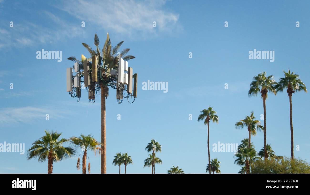 Cell Tower disfrazado como una palmera entre palmeras reales, Indian Wells, California, EE.UU Foto de stock