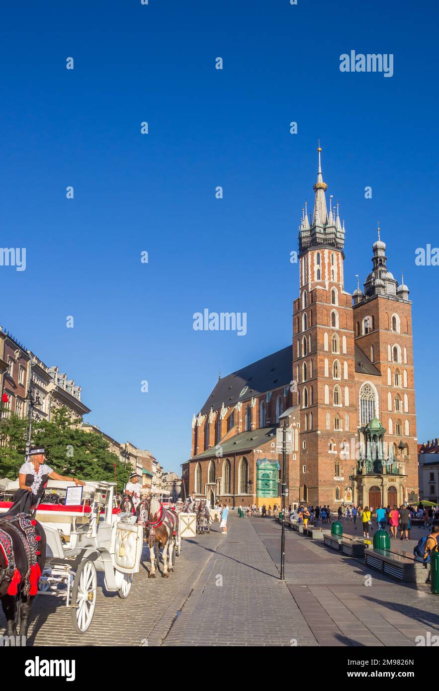 Carros de caballos en frente de la St. Iglesia de María en Cracovia, Polonia Foto de stock