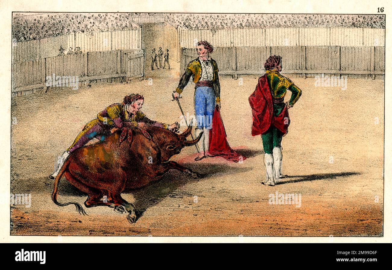 Corridas de toros españolas - 16 - Golpe de gracia, muerte del toro  Fotografía de stock - Alamy