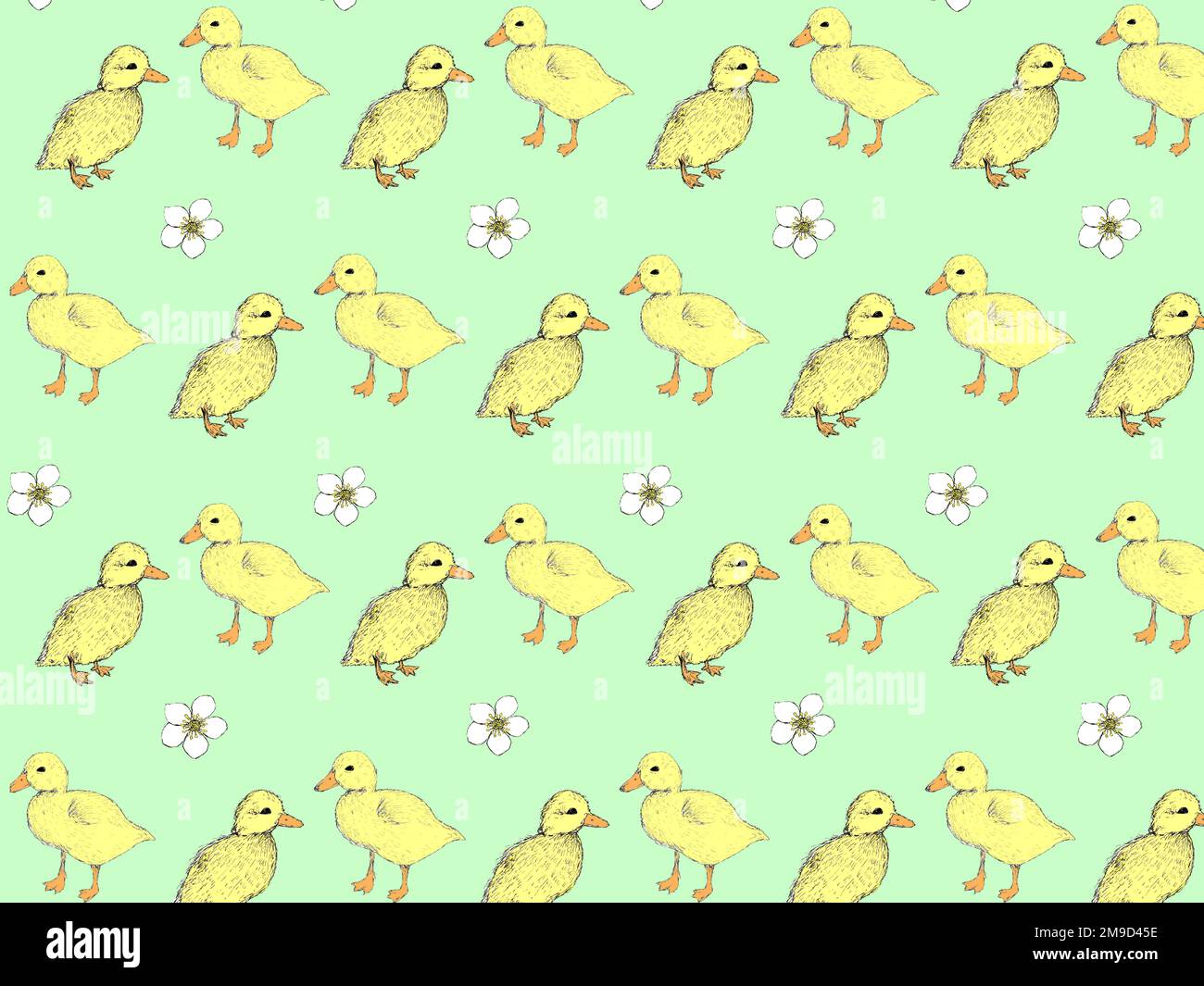 Patos amarillos esponjosos en un patrón repetitivo sobre un fondo verde pálido. Foto de stock