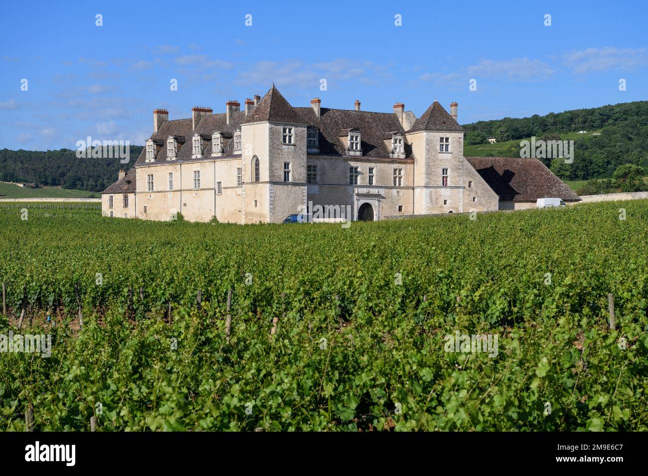 Viñedo Chateau du Clos de Vougeot, near Nuits-Saint-George, Cote-dor departamento, Bourgogne-Franche-Comte, Borgoña, Francia Foto de stock